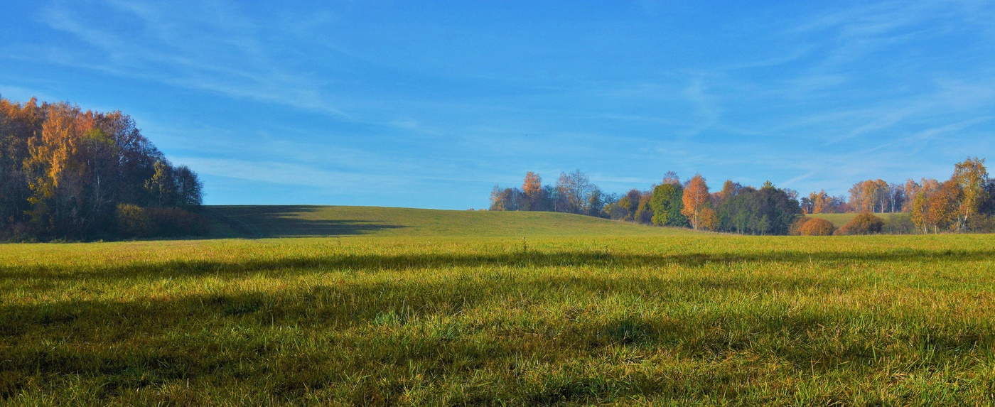 "Принцесса - осень, мой печальный гений ..."