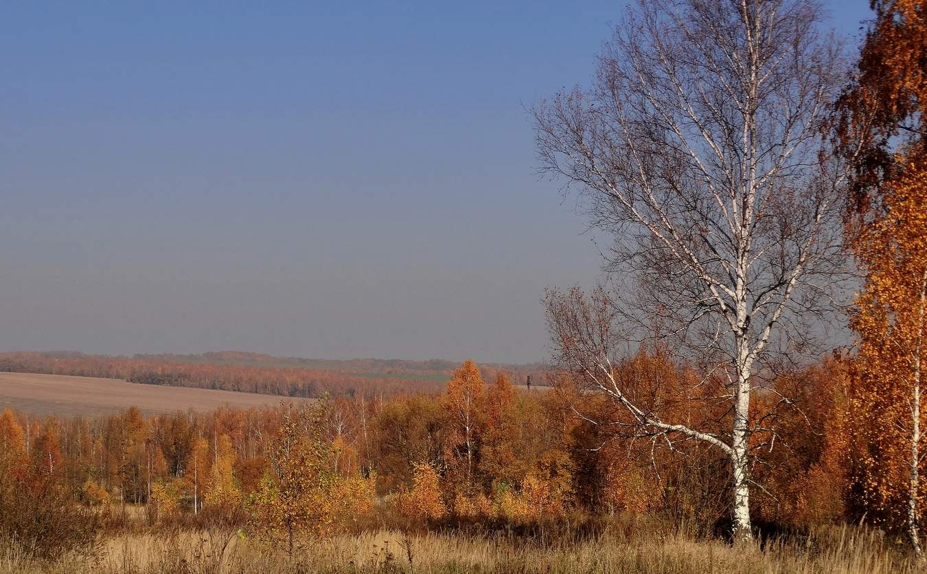 Осенние дали