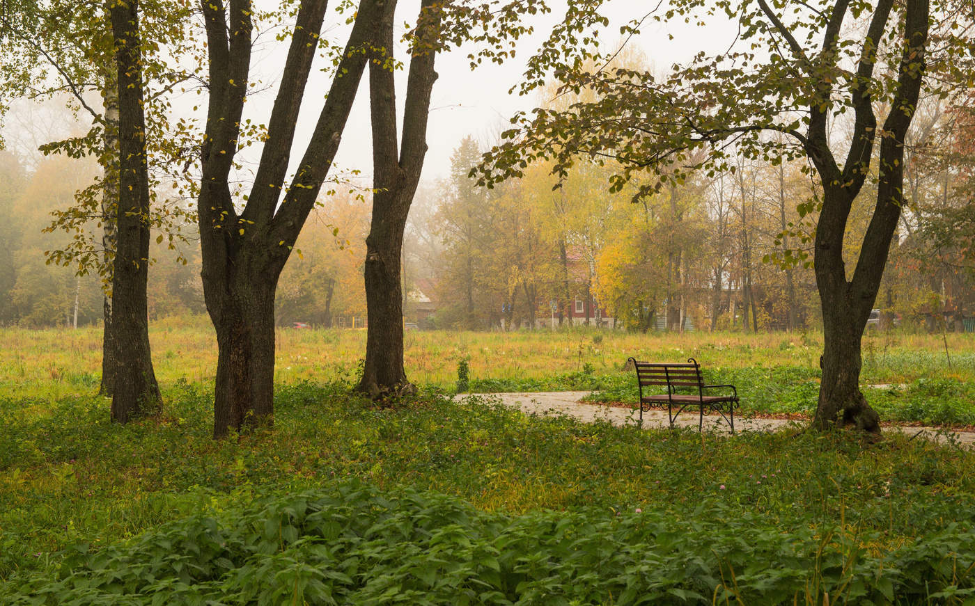 В утреннем парке