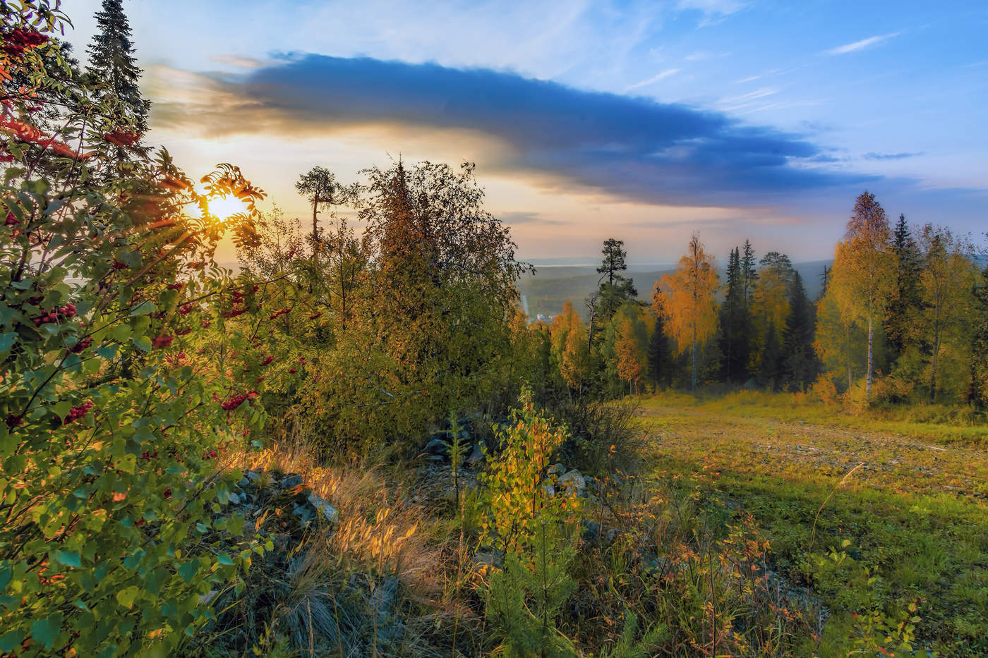 В утренних лучах