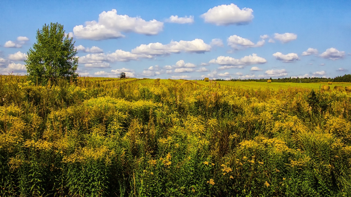 Вспоминая лето...