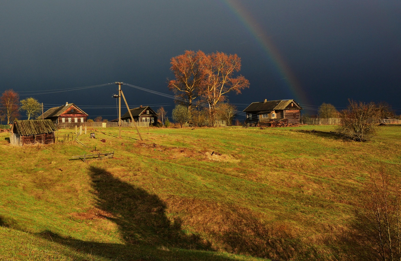 "Гроза промчалась низко над землею ..."