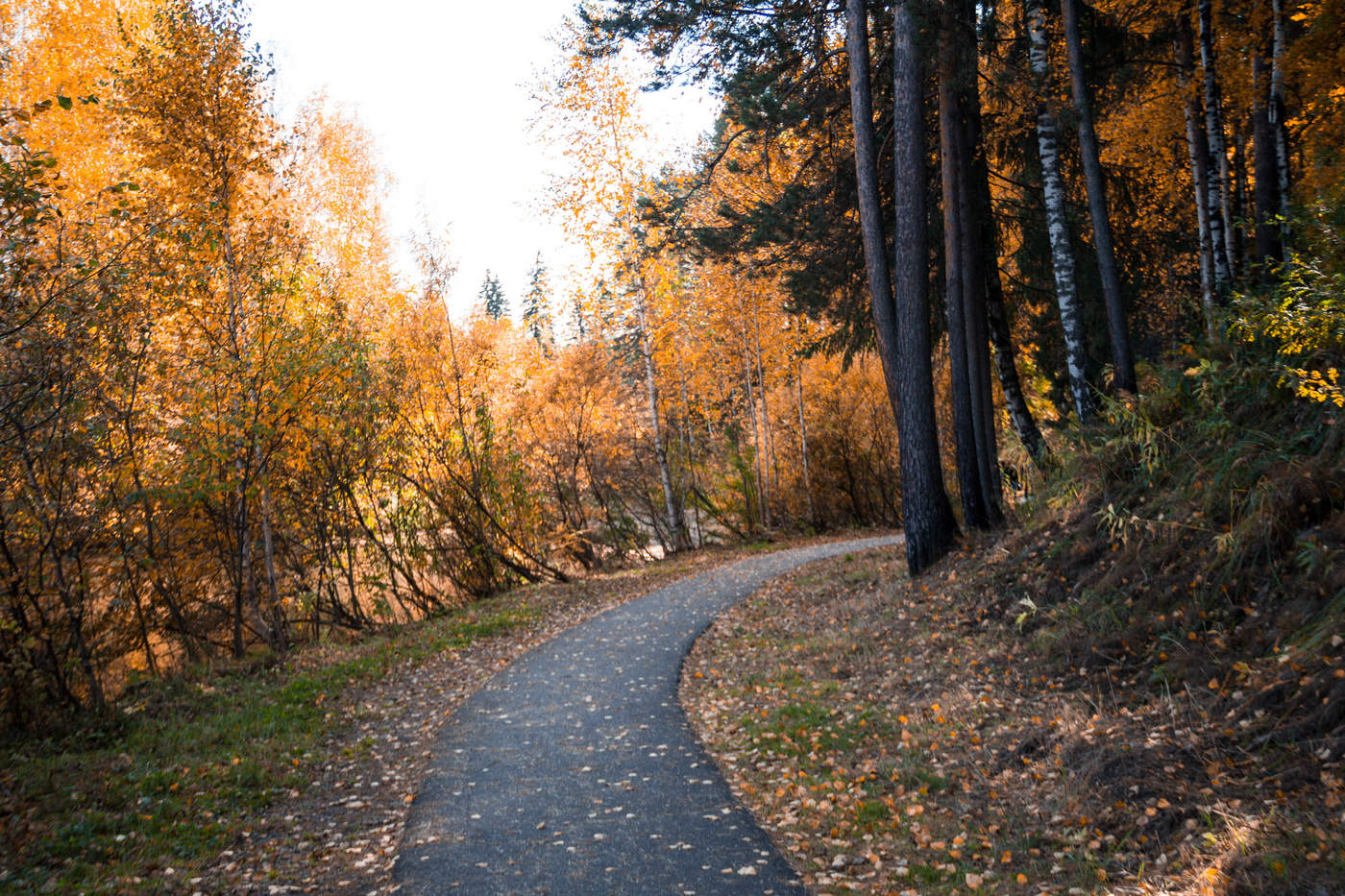Дорогами осени