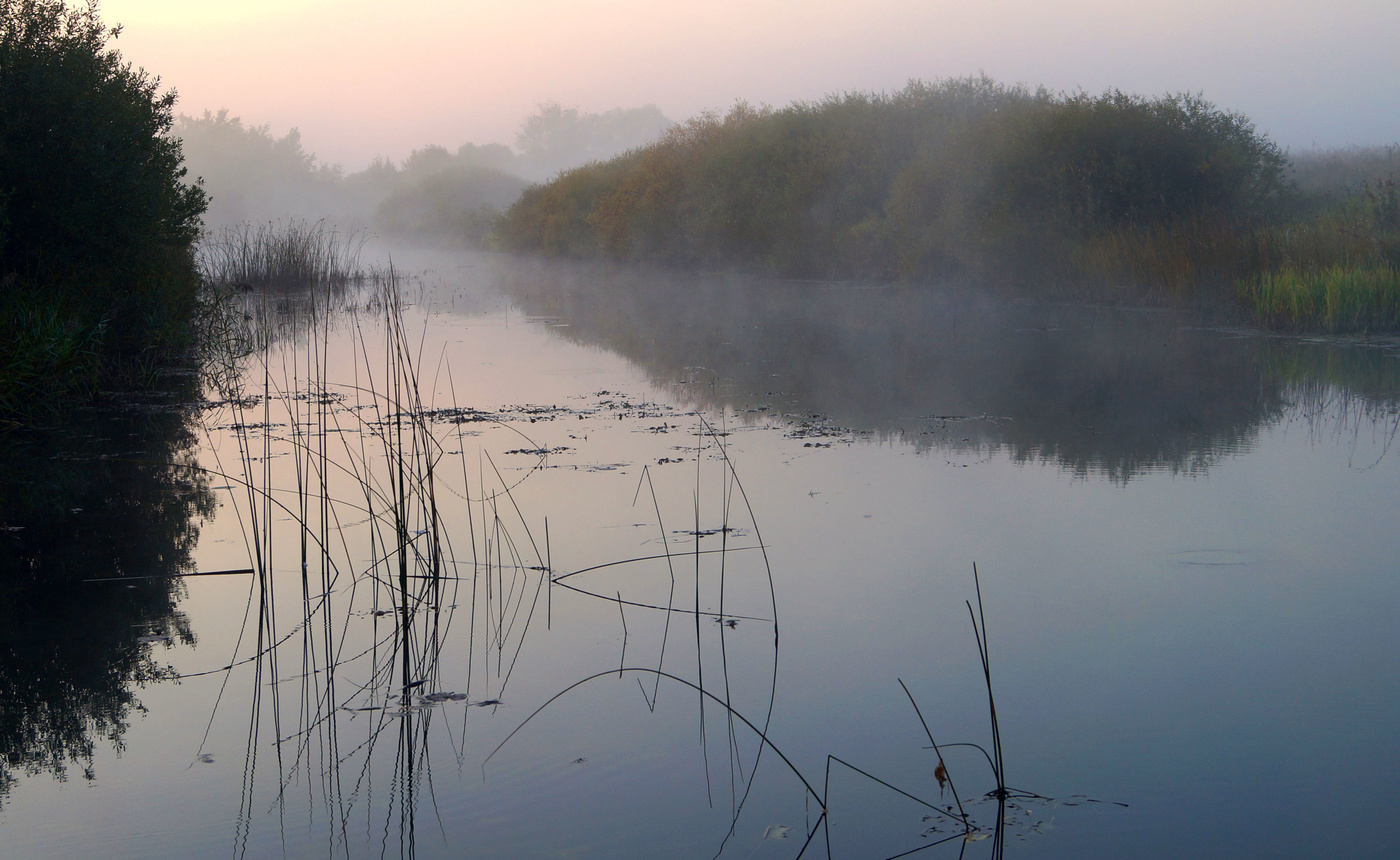 "Пришли осенние туманы ..."