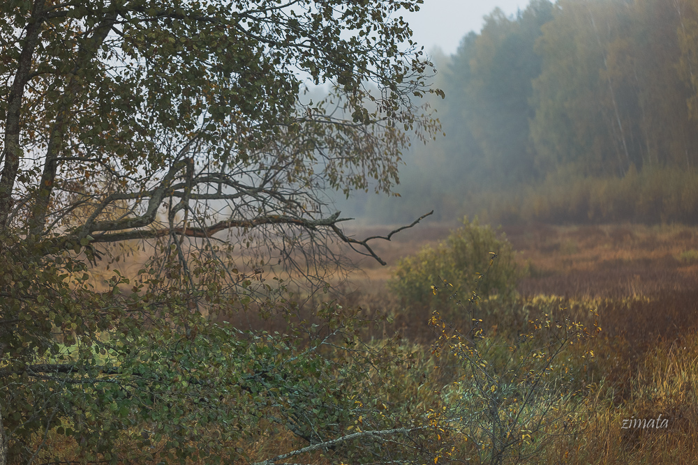 осенние краски