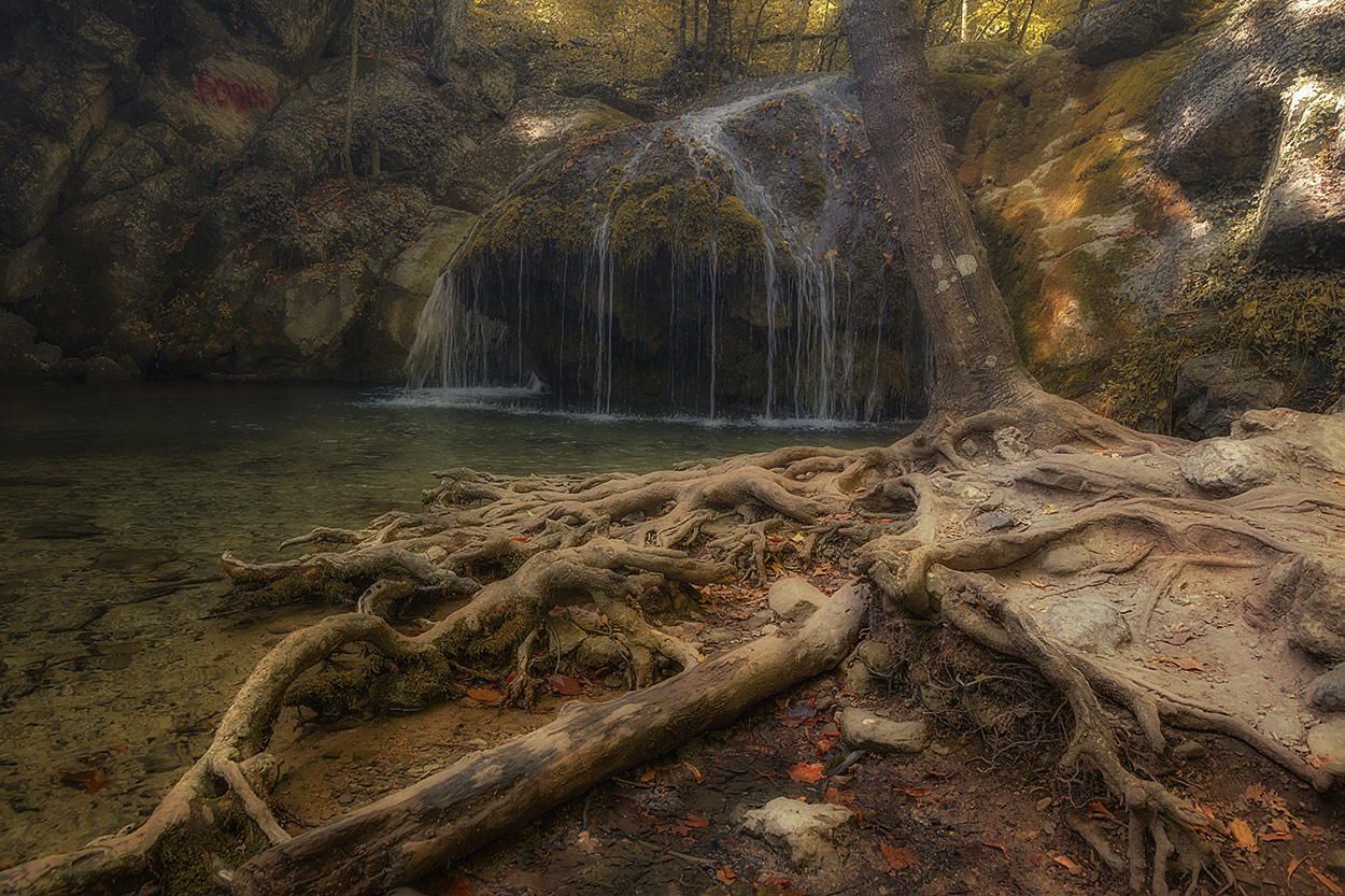 В осеннем лесу.