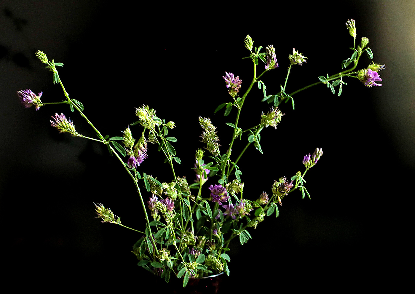 Скромный осенний букетик