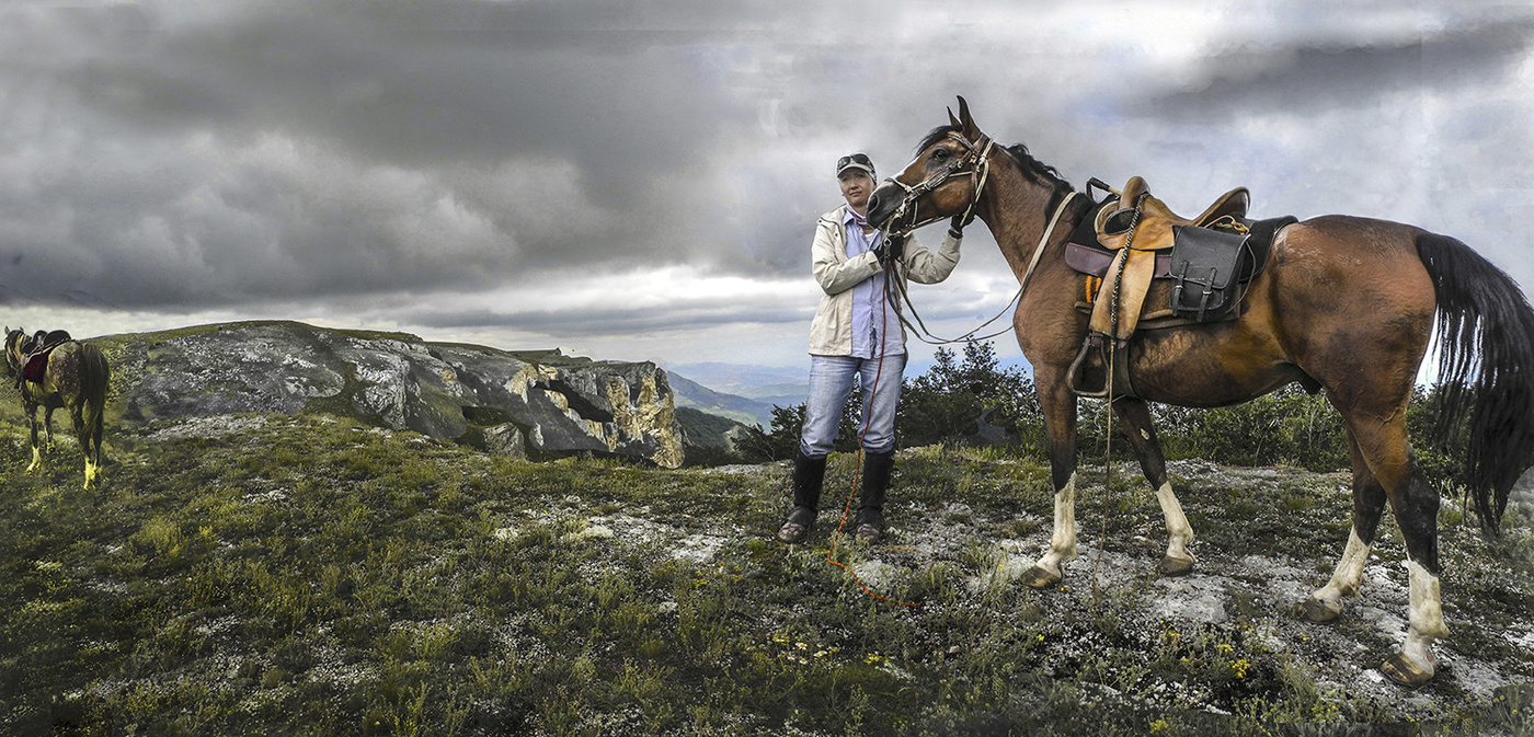 Красавец в узде.