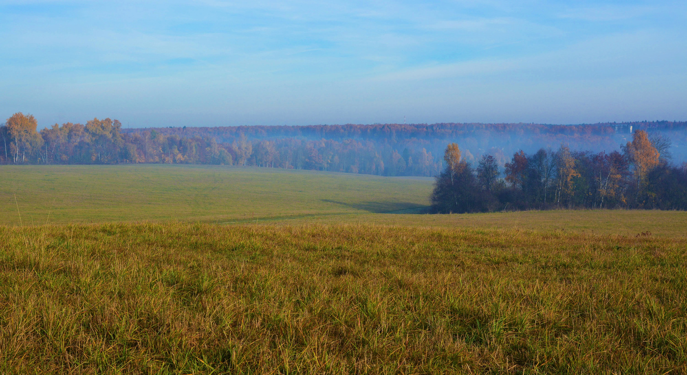 "Свежо. Предутренне. Туманно ..."