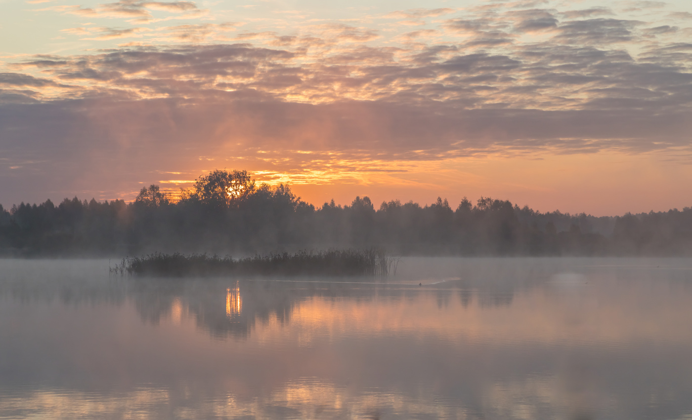 Туманное утро