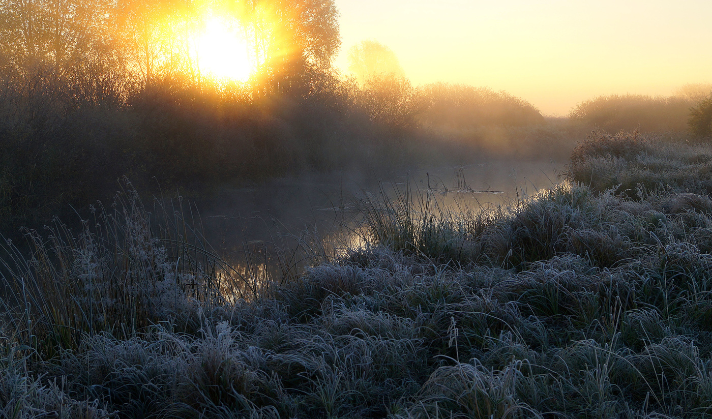Утро, иней, туман