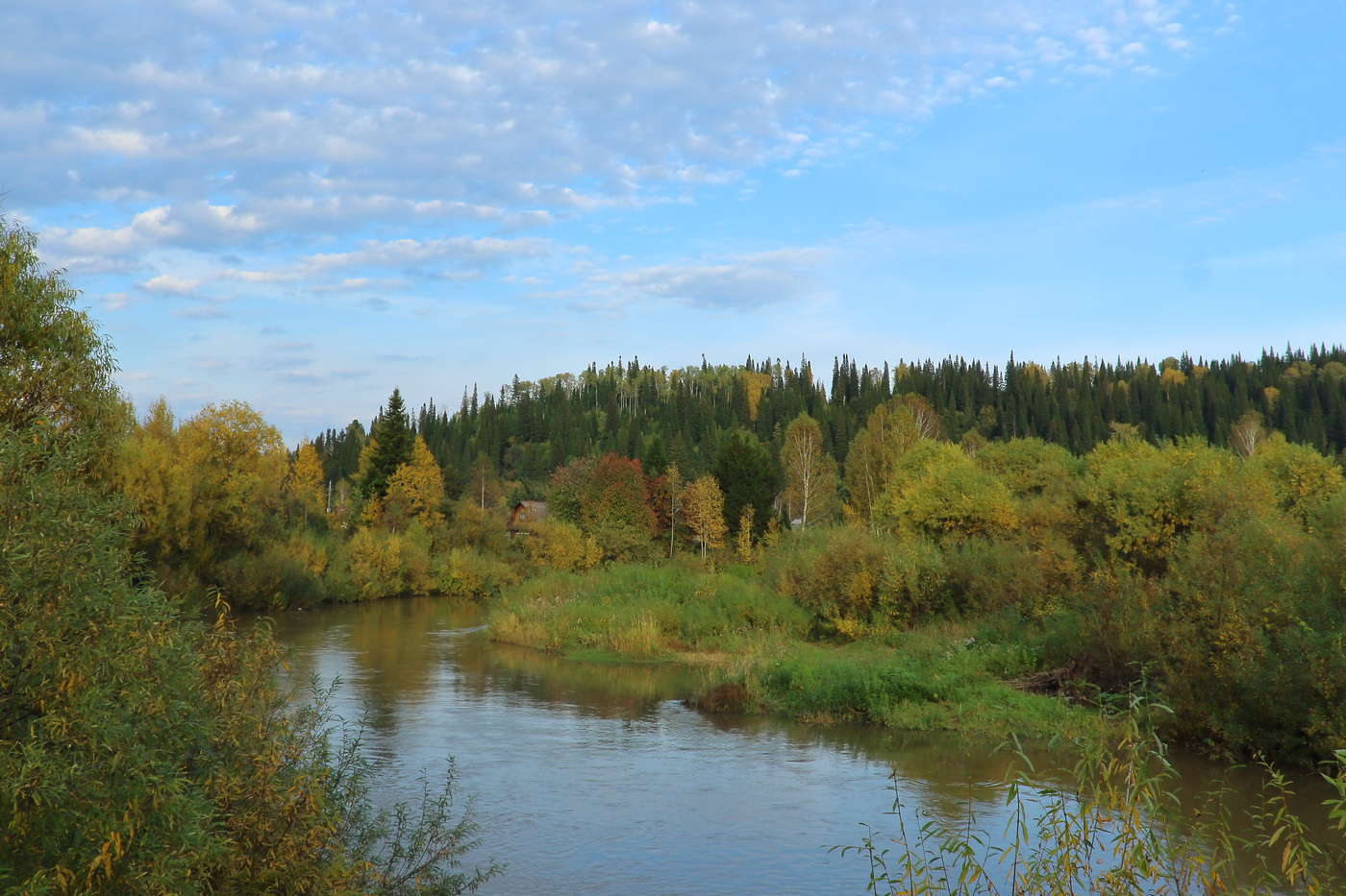 Есть в осени первоначальной короткая, но дивная пора...