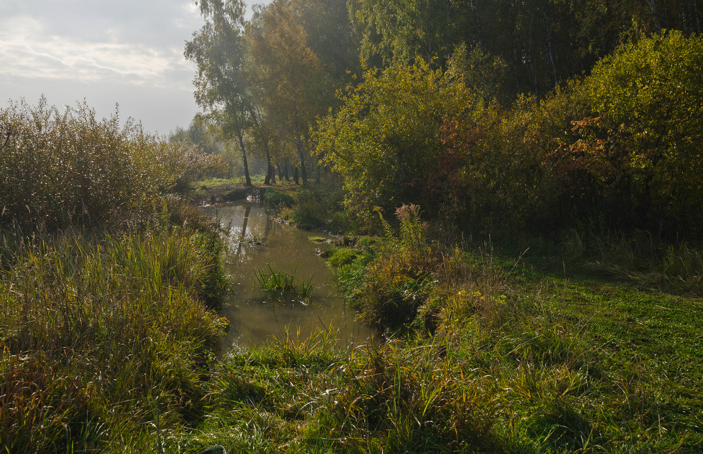 У залива в контровом