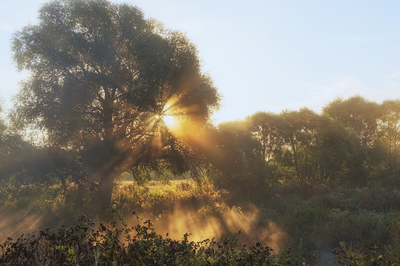 Рассветные лучи