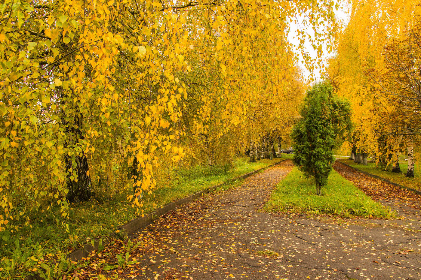 Золотая пора