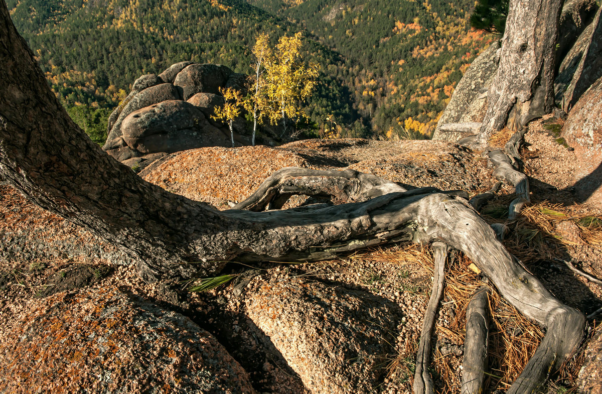 Тёплые дни осени...
