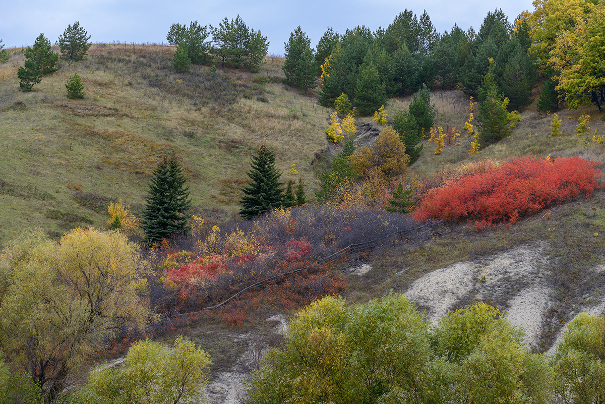 Про осень...
