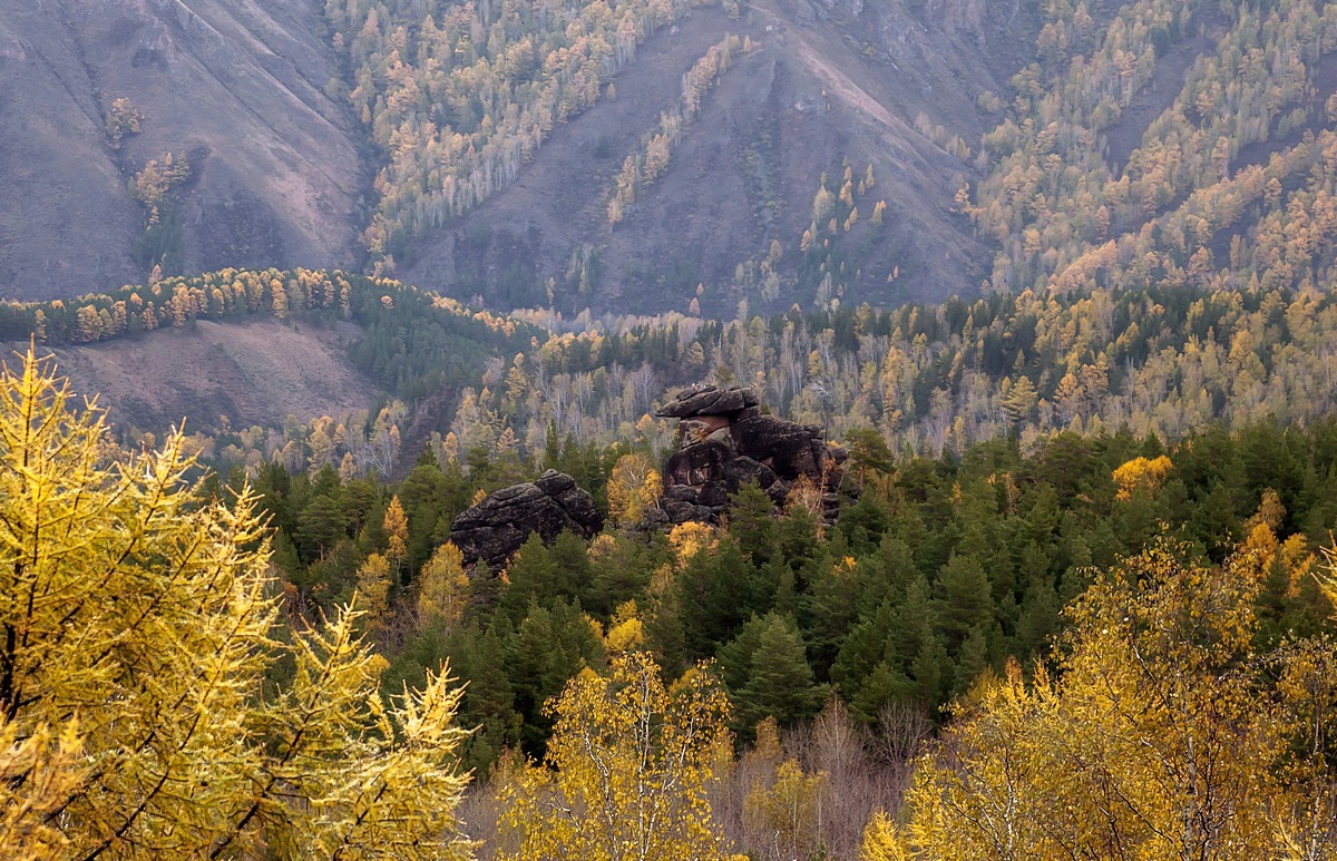 Краски осени.