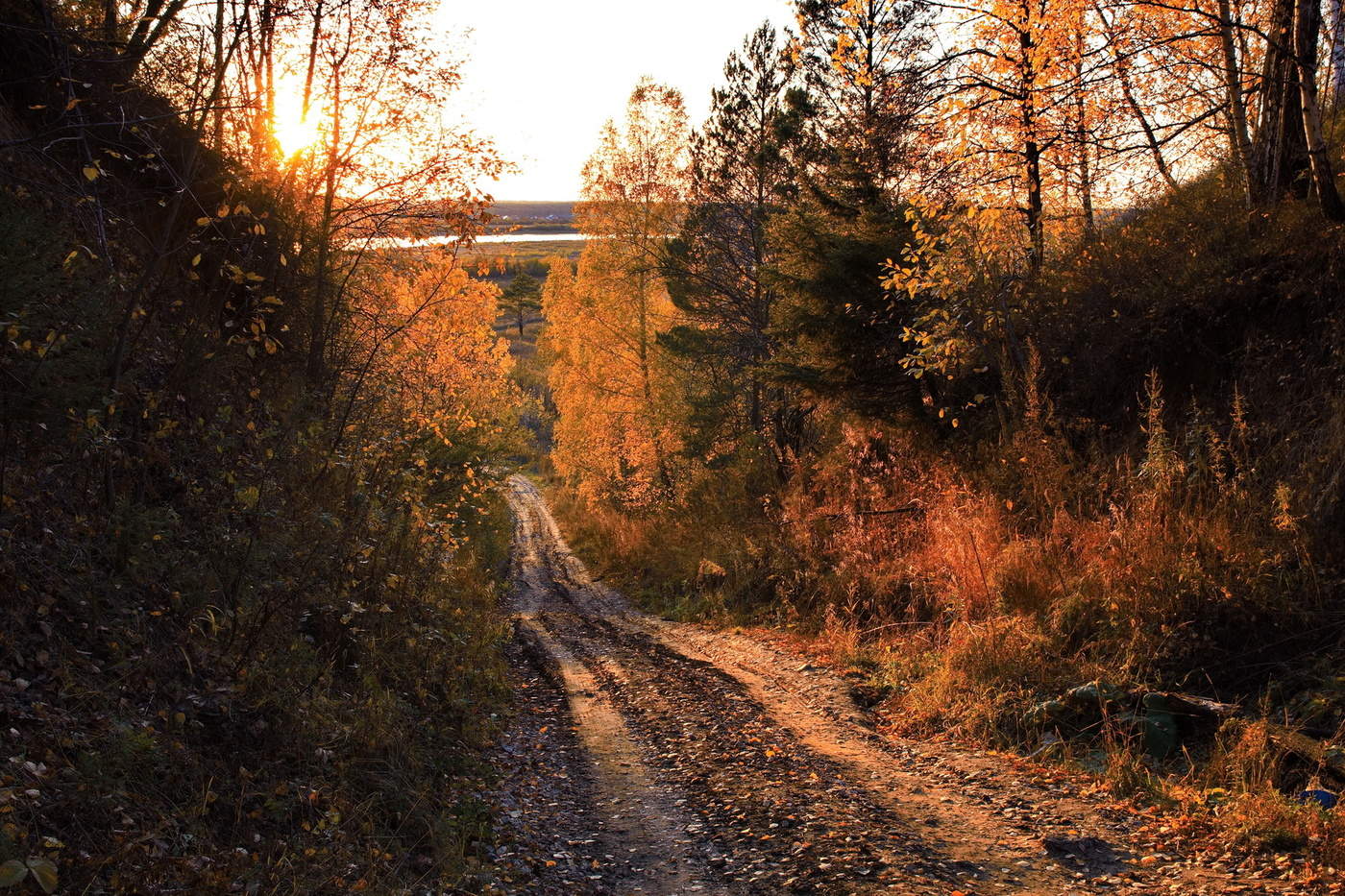 *На закате.**