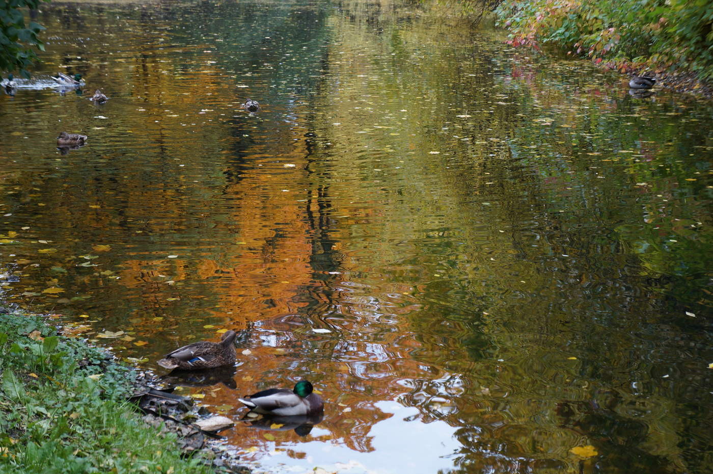 Осенний гобелен