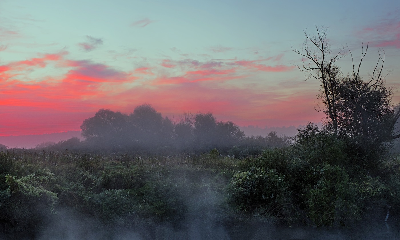 Жаркие рассветы.