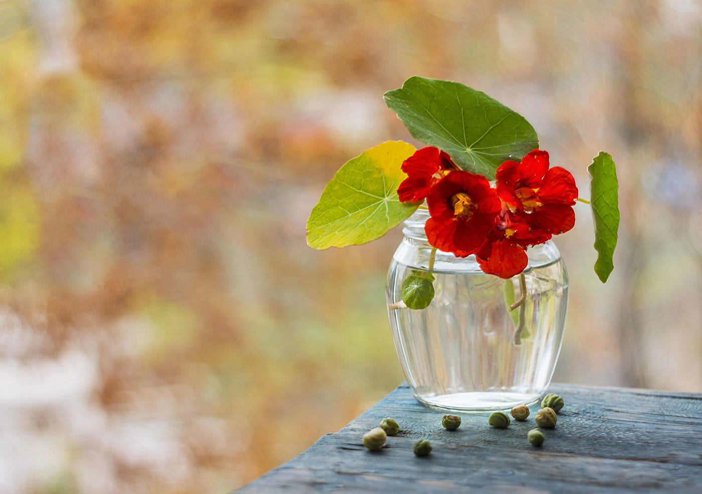 На фоне осени