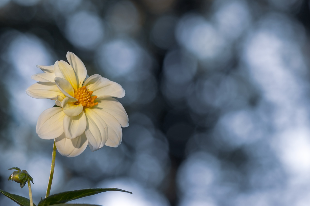 ...и только воздух вокруг....