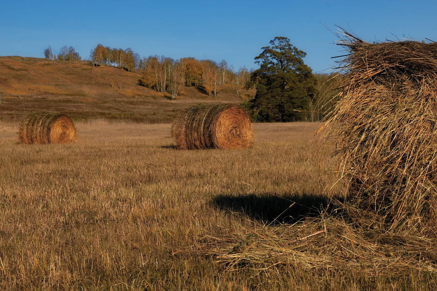 Солнечный октябрь.
