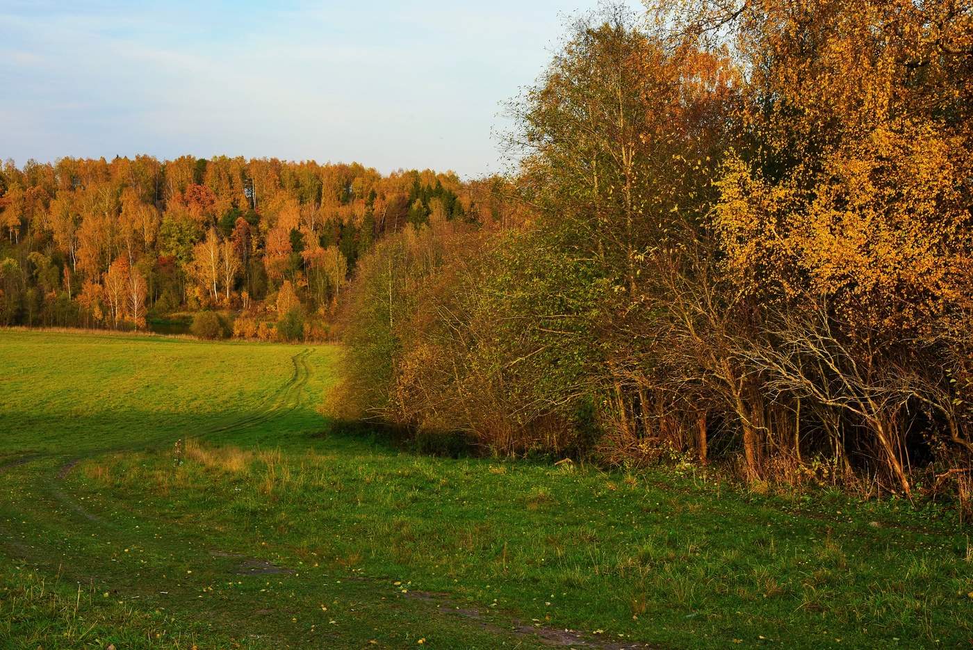 "Кто-то брызнул на деревья соком апельсиновым..."