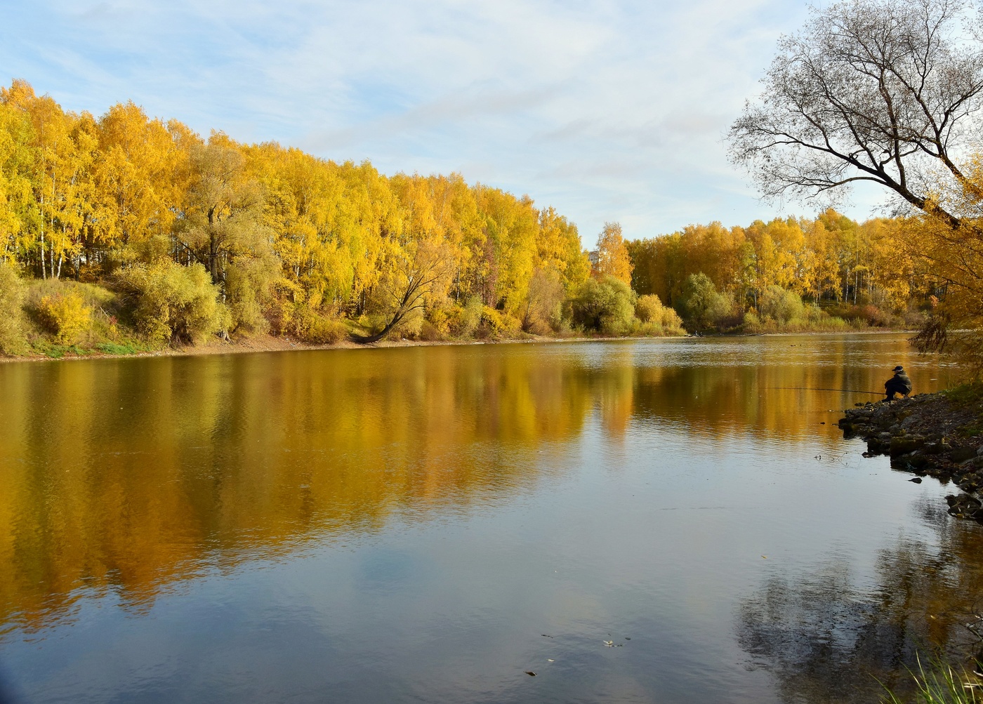 Как поймать золотую рыбку