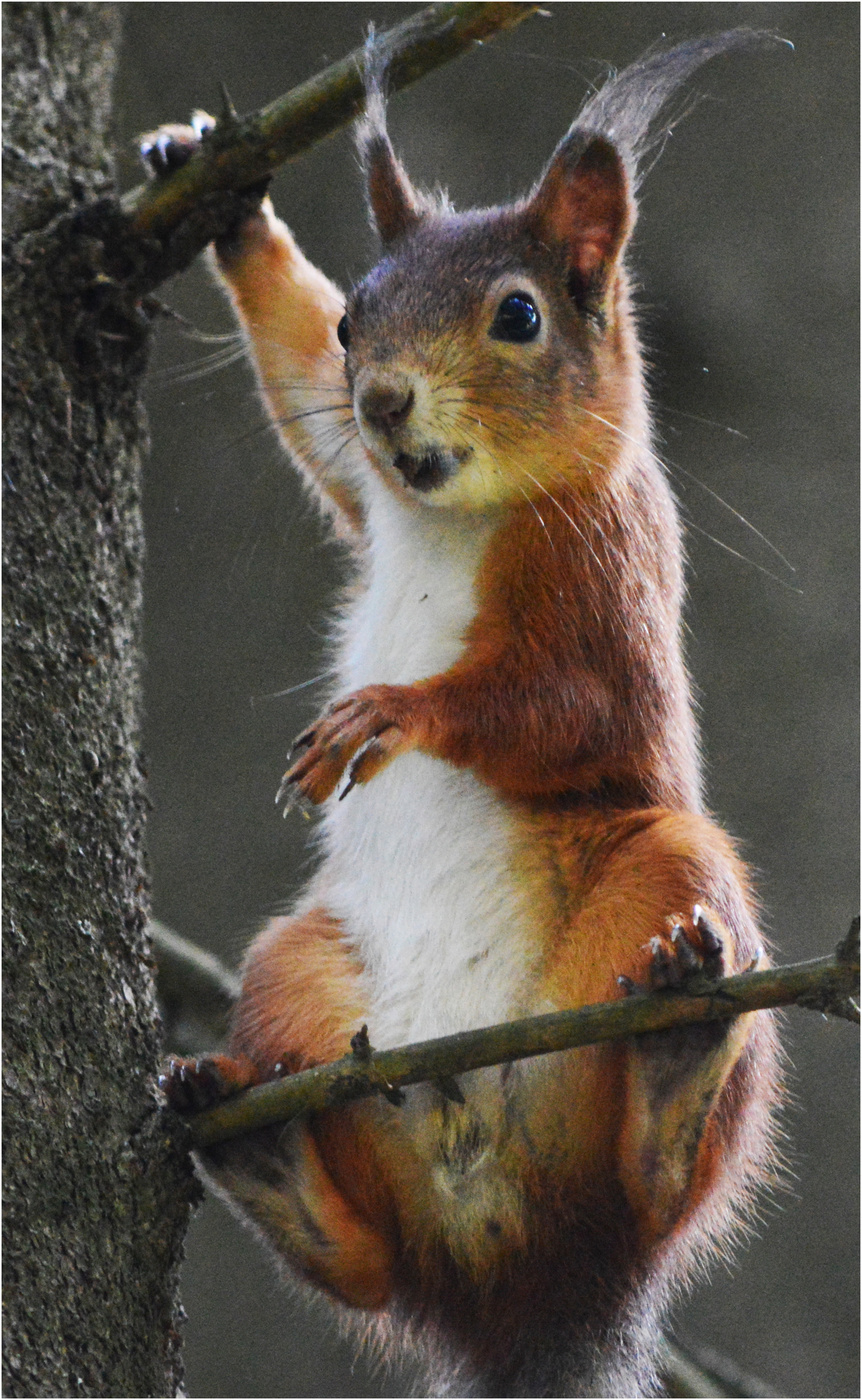 И че там случилось?