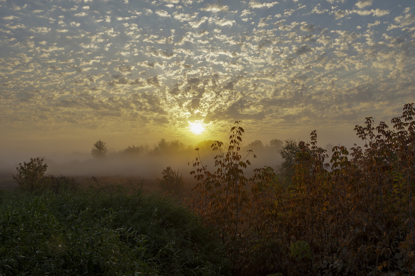 Красочная осень