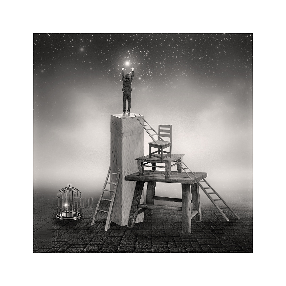 коллекционер