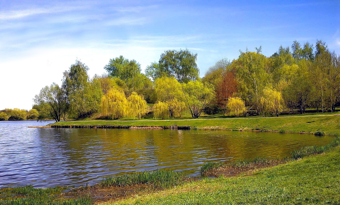 Берег нижнего Царицынского пруда