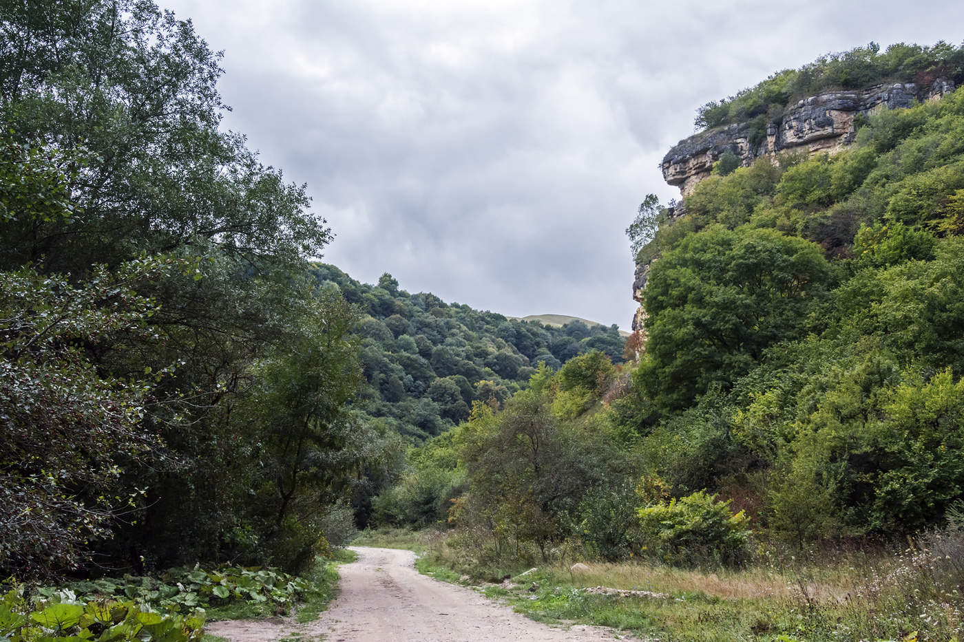 Северный Кавказ.