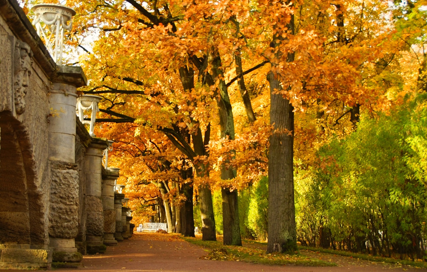 Осеннее утро...