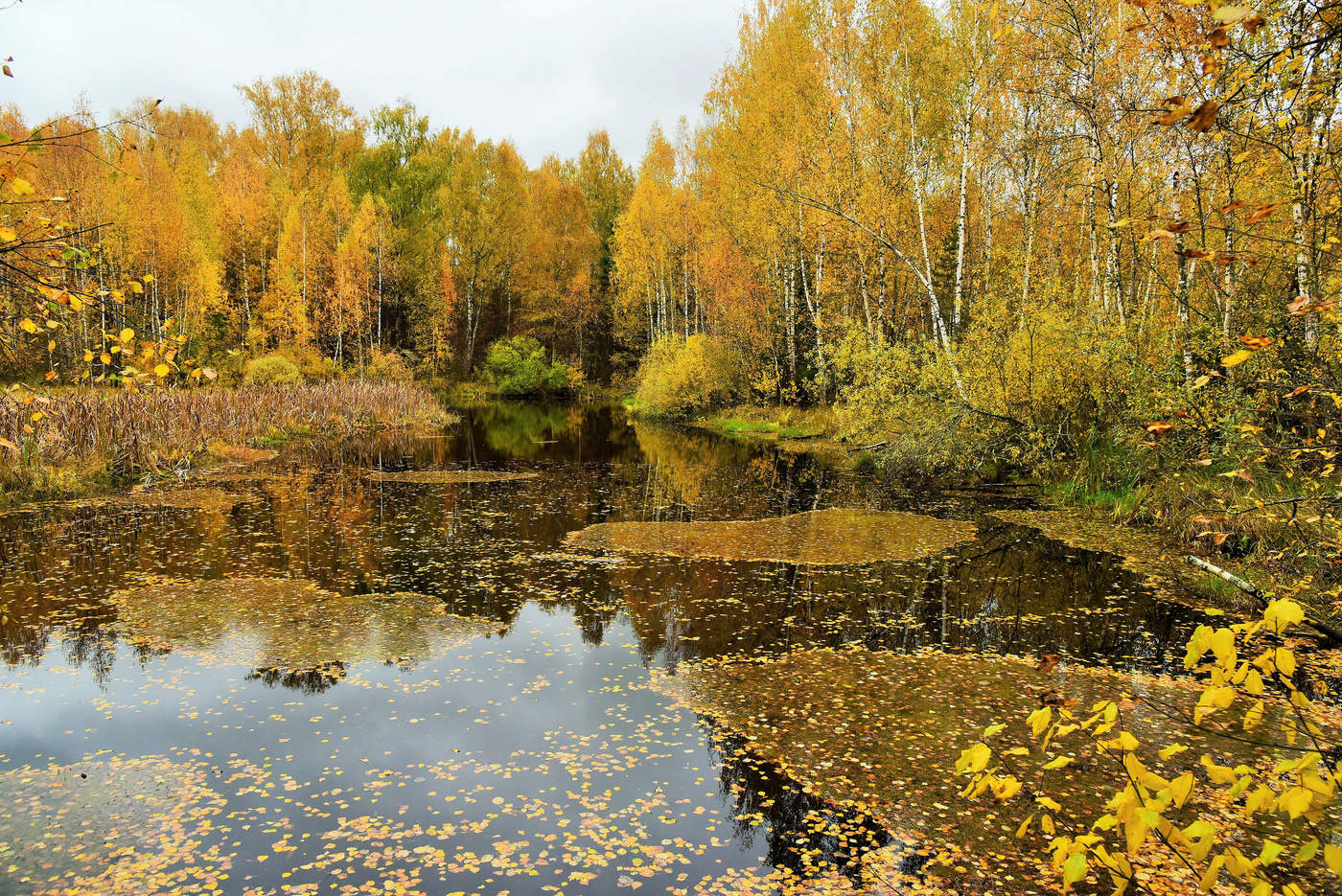 "Хоть осень старый кутюрье, но все костюмы ненадежны..."