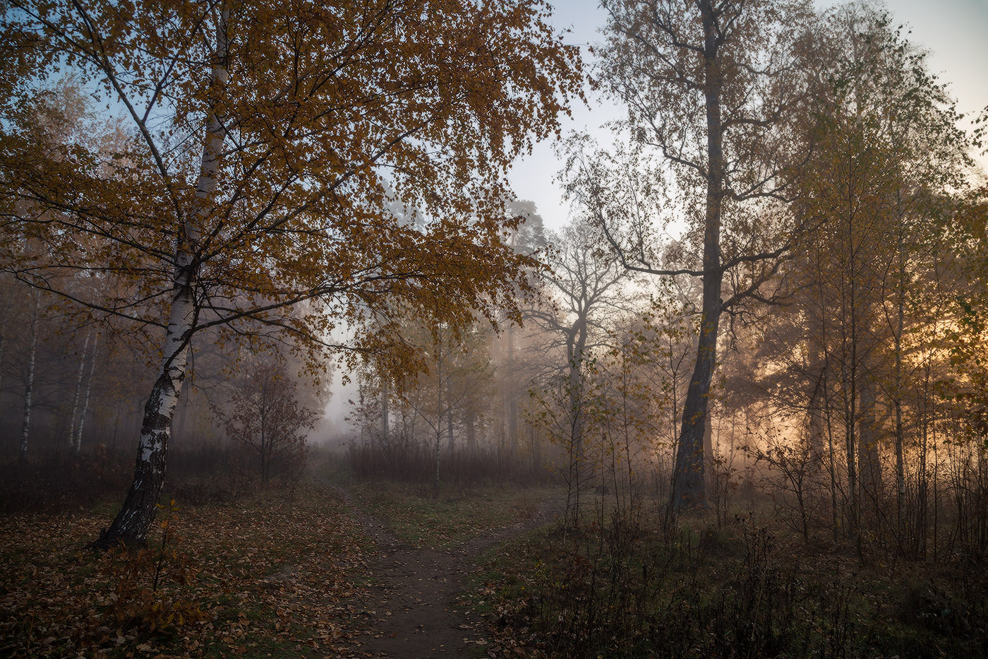 На распутье