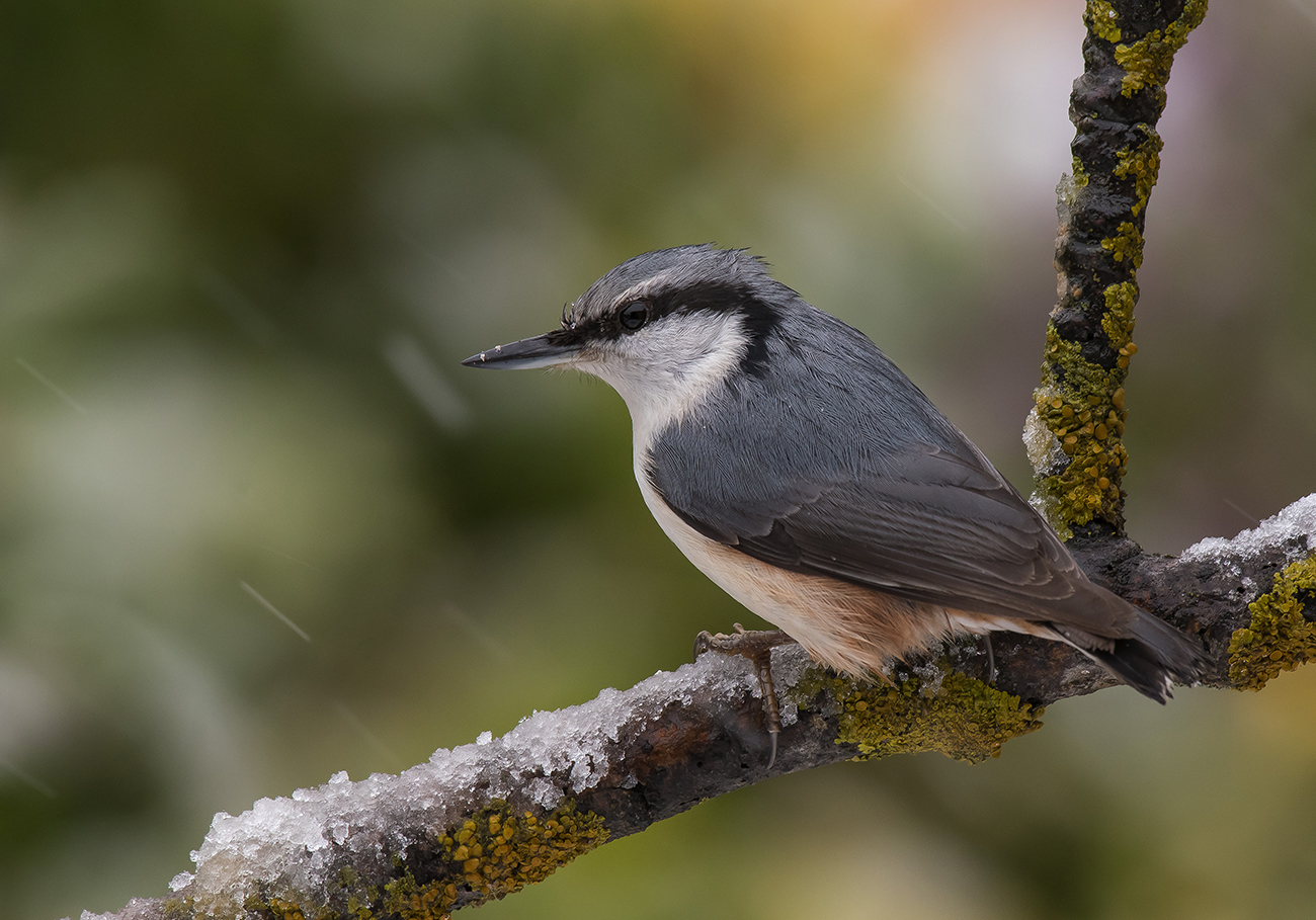 Вот и октябрь.....
