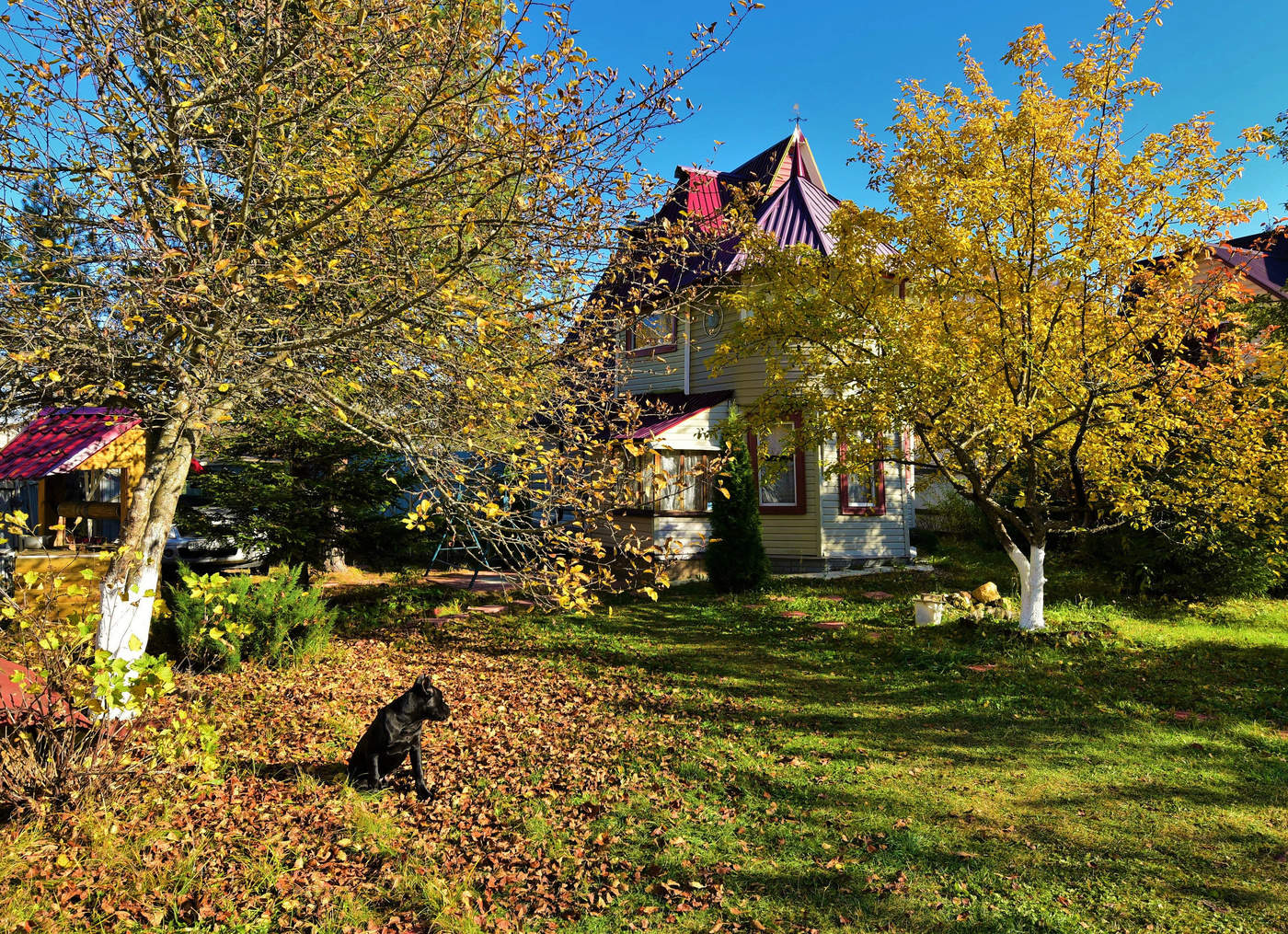 "Люблю в осенний день несмелый ..."