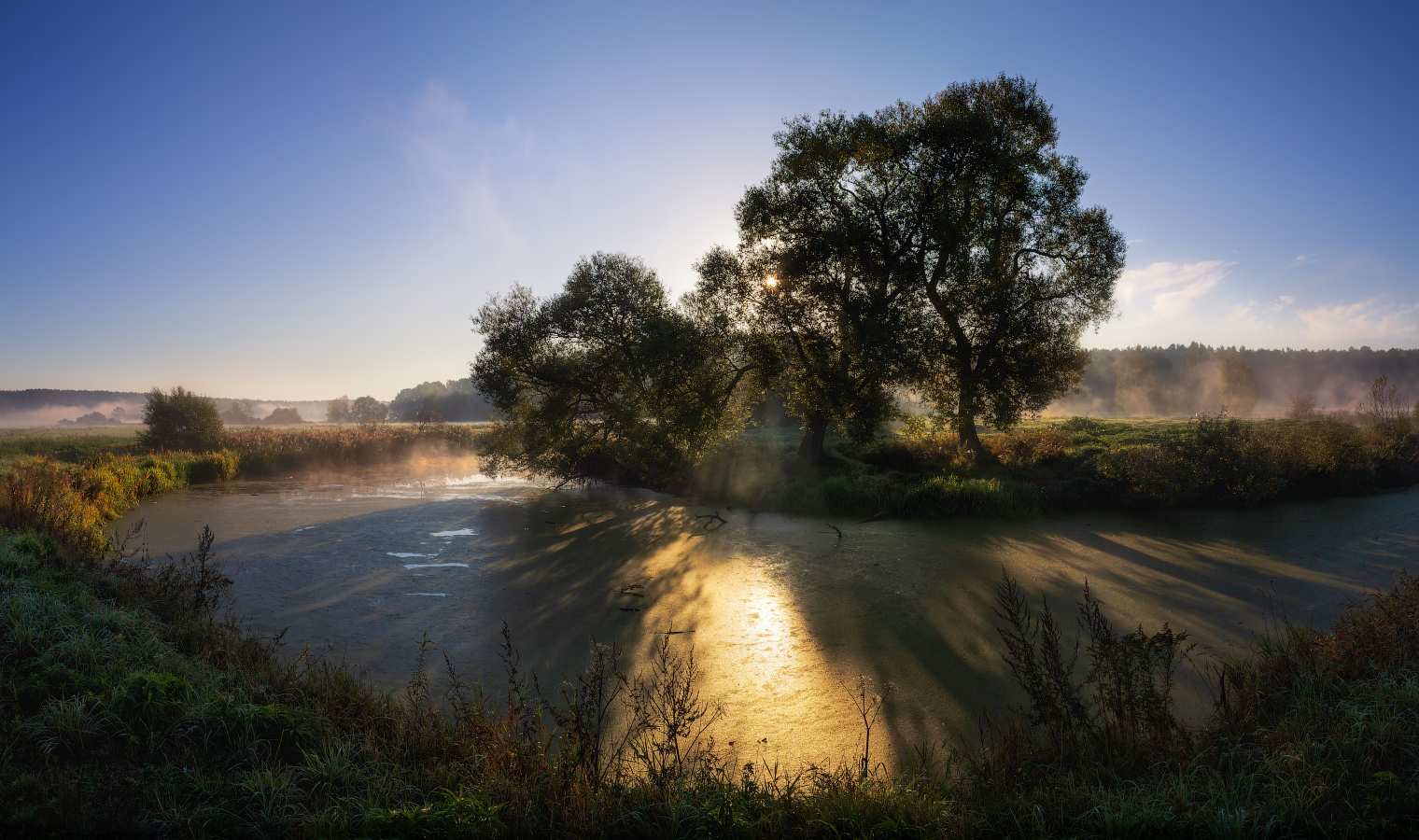Про летнее утро