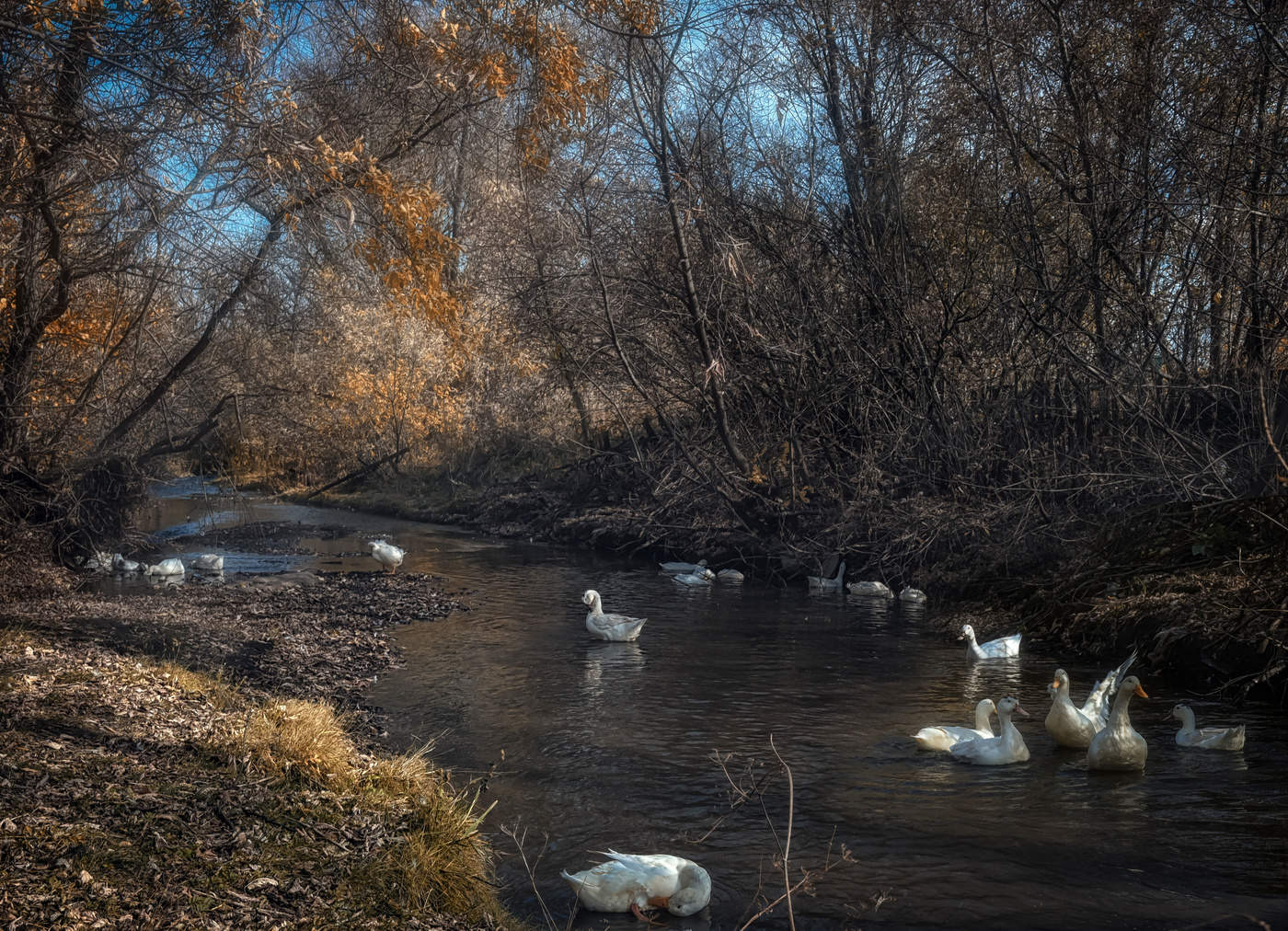 Утиная речка