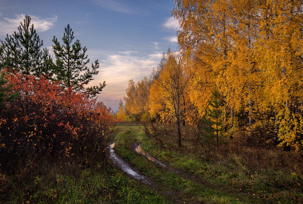 Вечер после дождливых дней