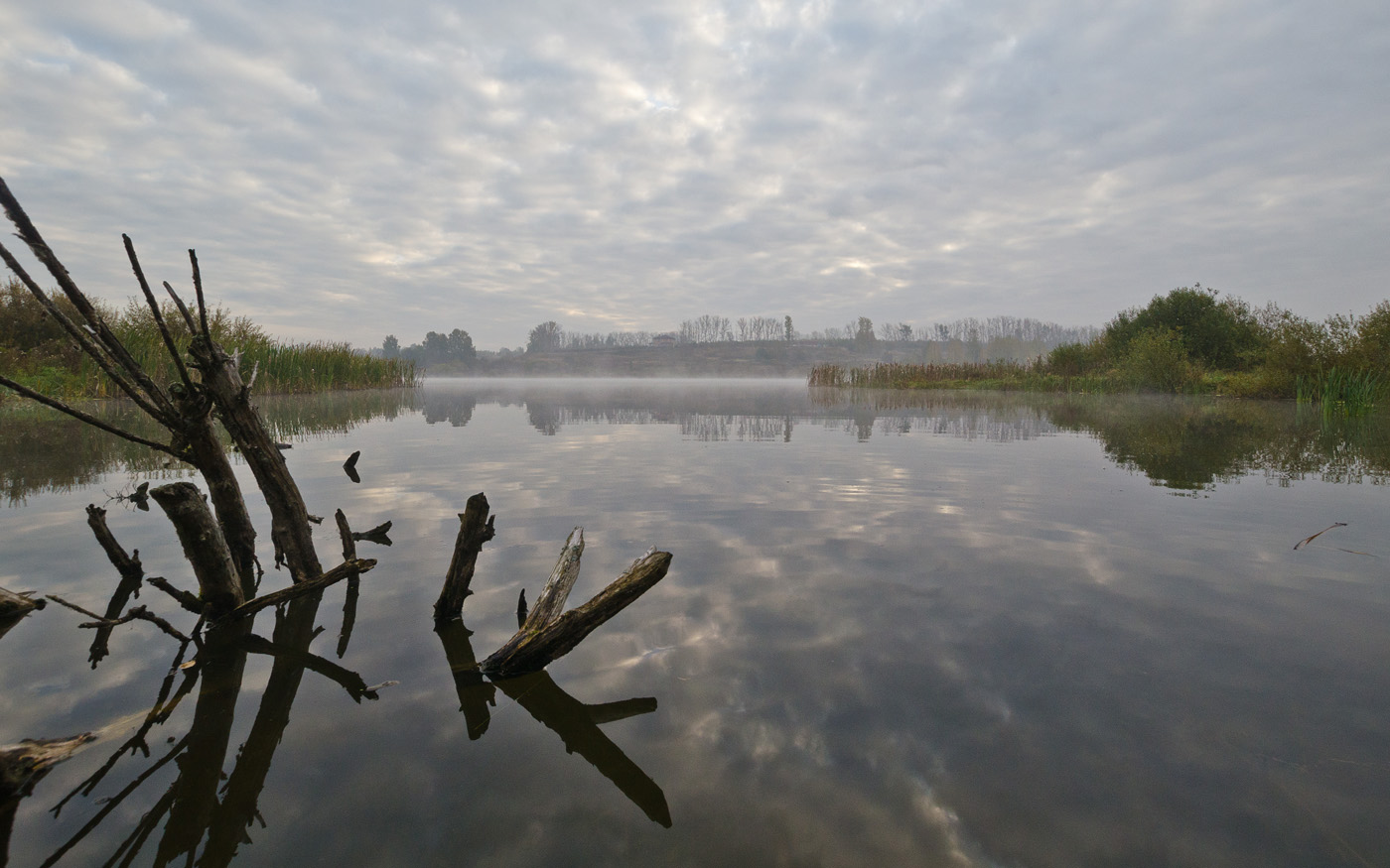 На заливе в Архангельском