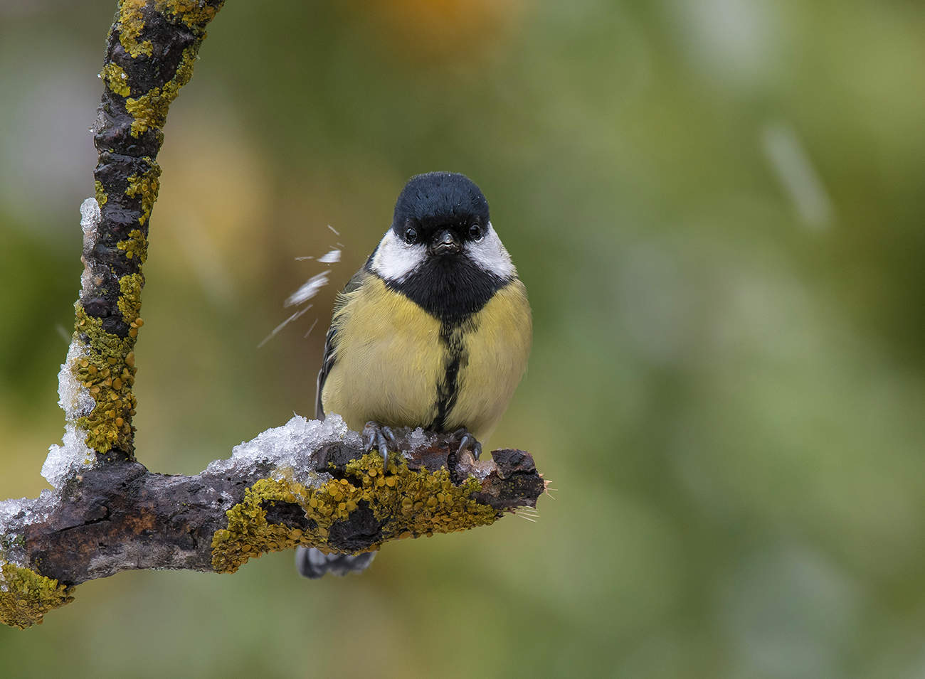 Обиделась...