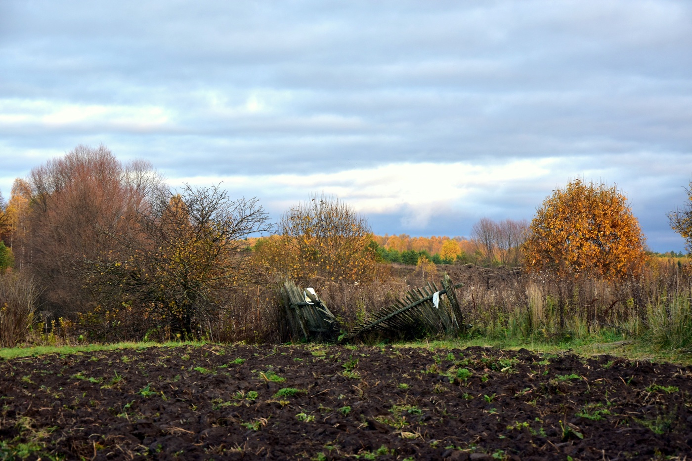 Закружилась листва золотая
