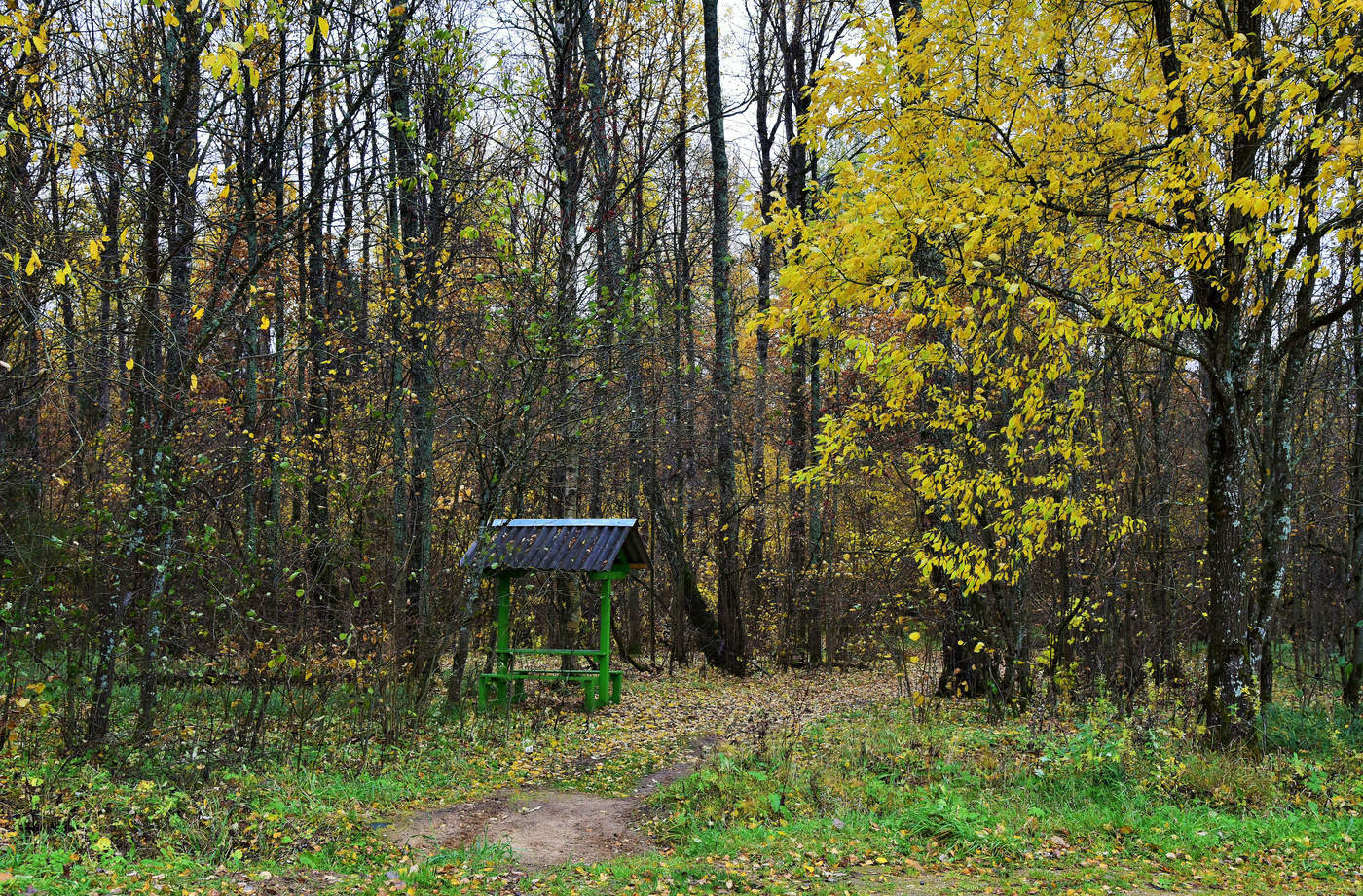 "Есть в осени и аромат печали и горький вкус несбывшихся надежд..."