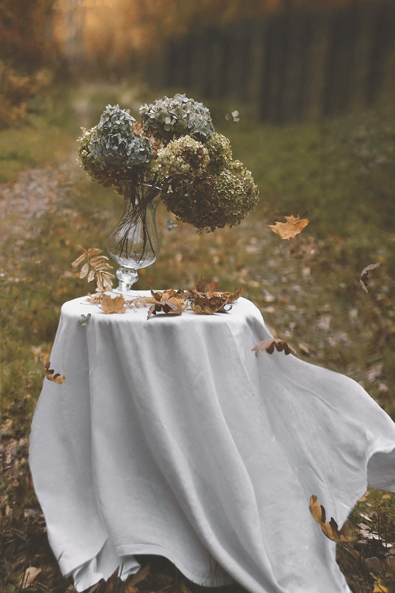 Кружат ветра...