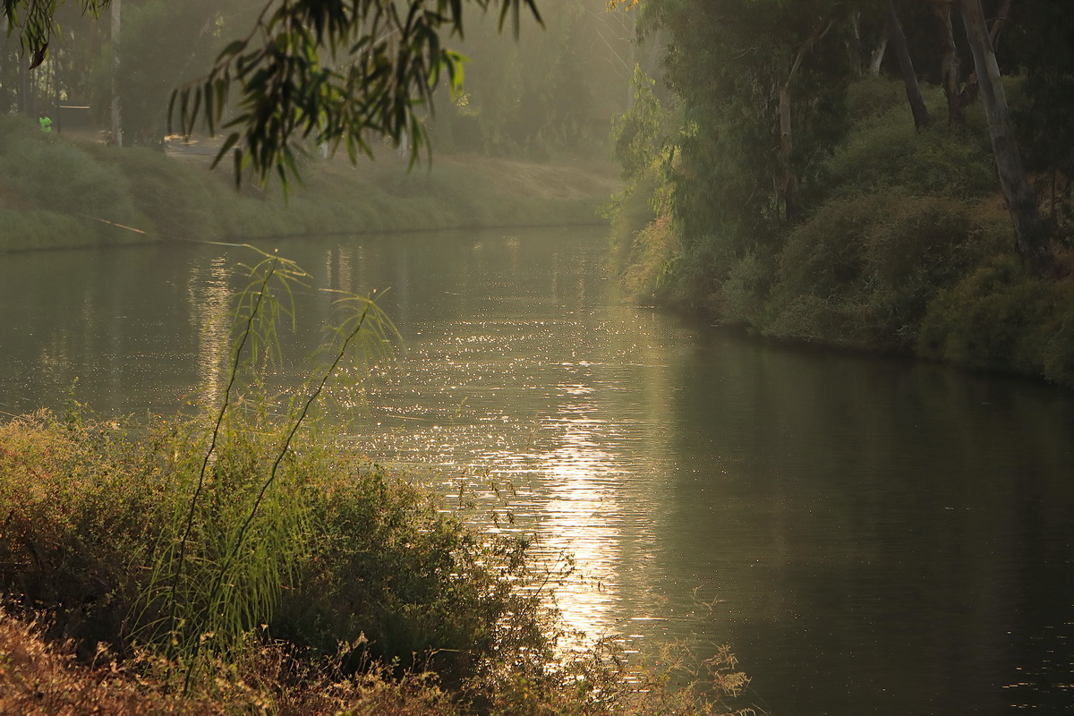 Осенний свет