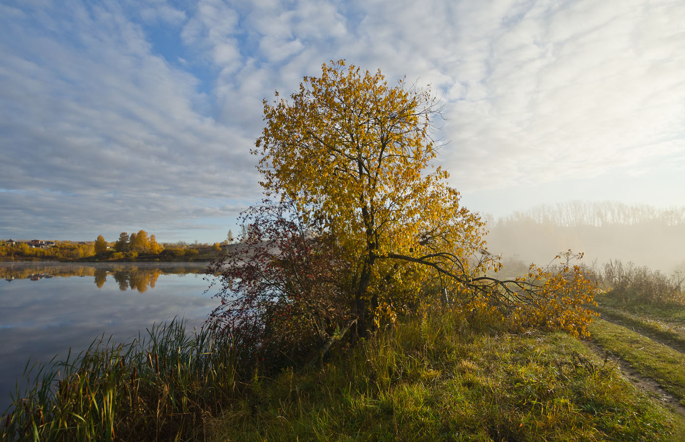 Неуловимо уходил туман